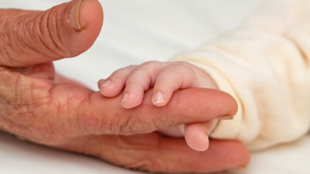 Calcul de l'héritage des petits-enfants : la réserve successorale selon la souche familiale