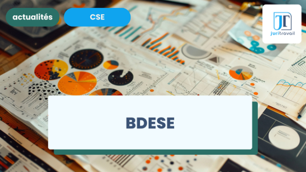 illustration pour BDESE : quel est son contenu et qui peut y accéder ?