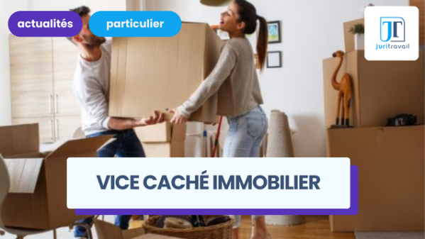 illustration pour Quels recours en cas de vice caché immobilier ?