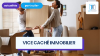 Quels recours en cas de vice caché immobilier ?